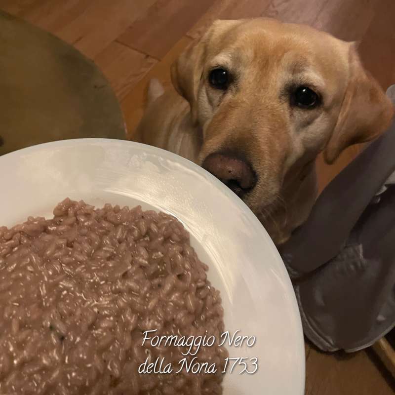 Risotto al vino rosso e Formaggio Nero della Nona 1753