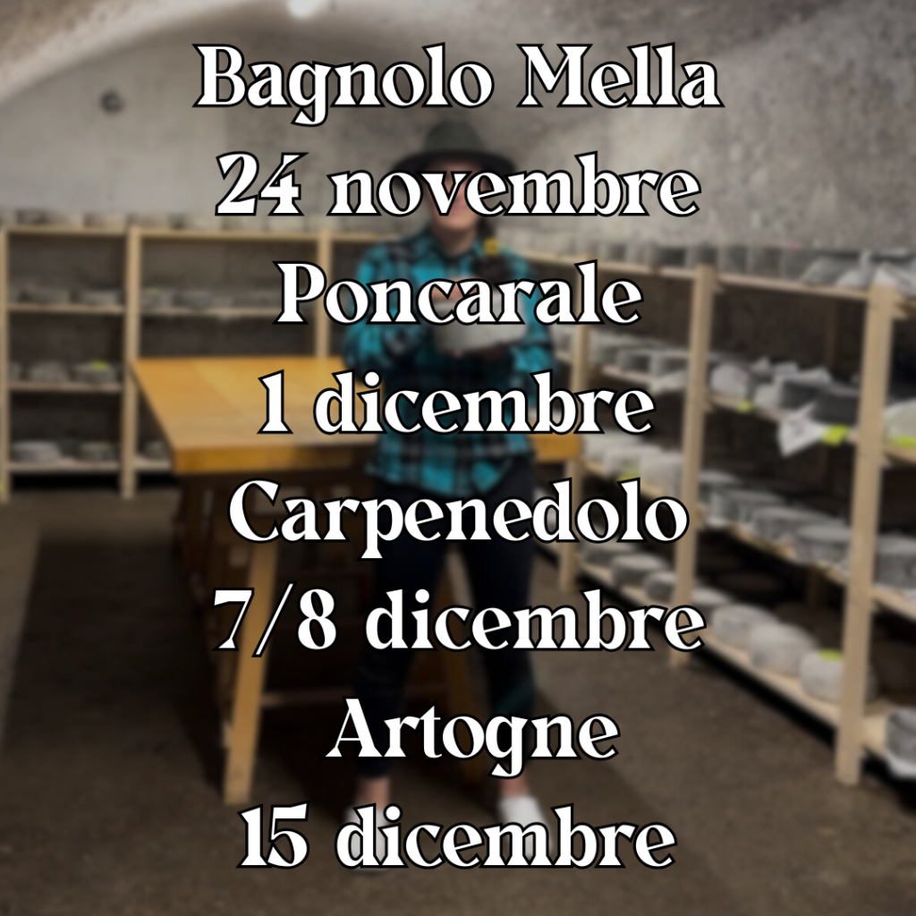 Mercatini di Natale 2024