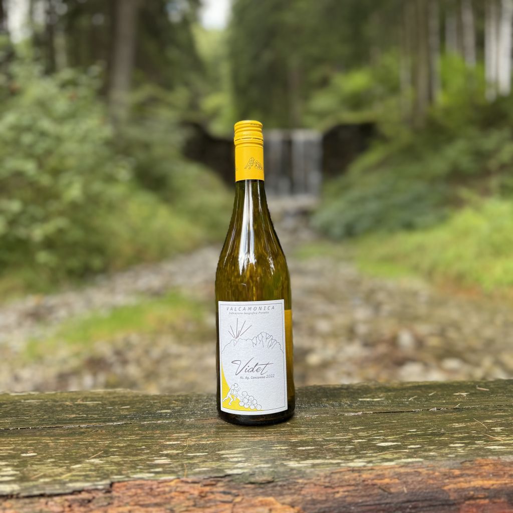Videt Riesling Valcamonica IGT