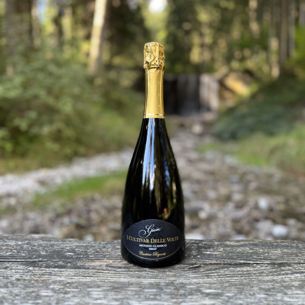 Spumante Camuno Gioia