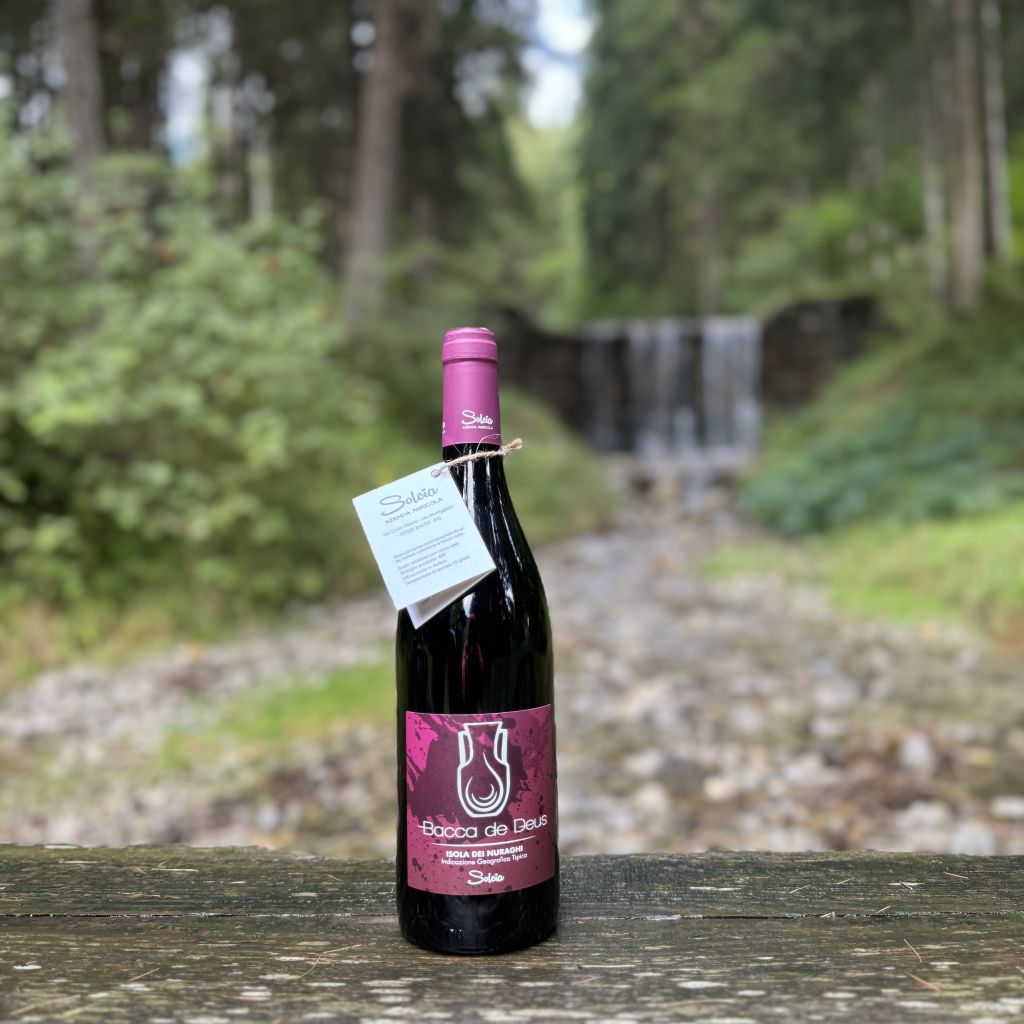 Bacca de Deus da anfora