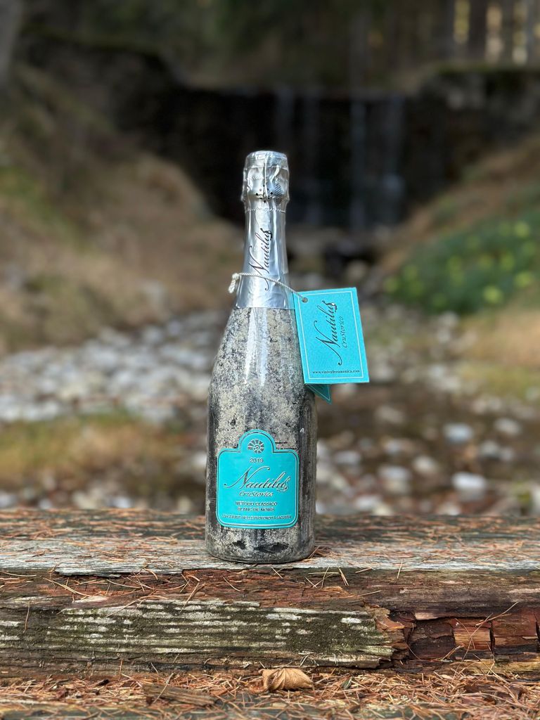 Nautilus del Lago d'Iseo