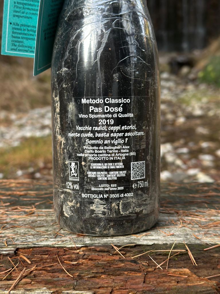 Nautilus del Lago d'Iseo