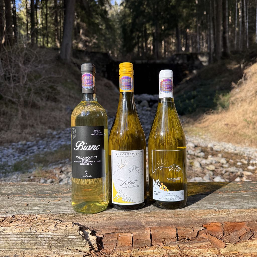 Riesling a confronto 