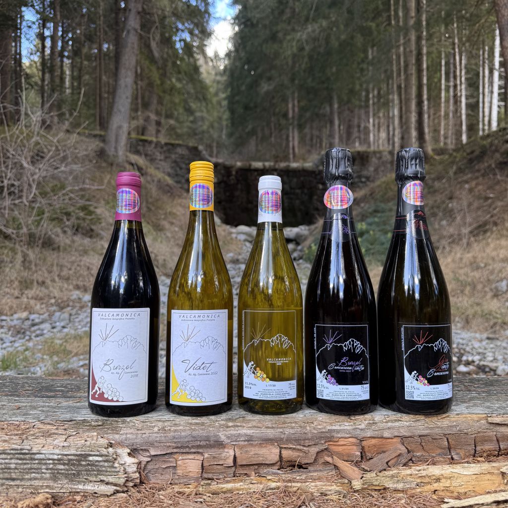 Concarena: COMPLETE BOX 