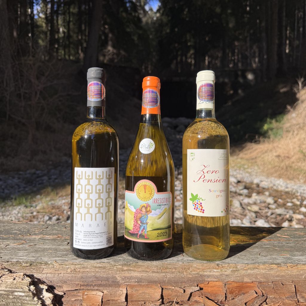 Souvignier Gris a confronto